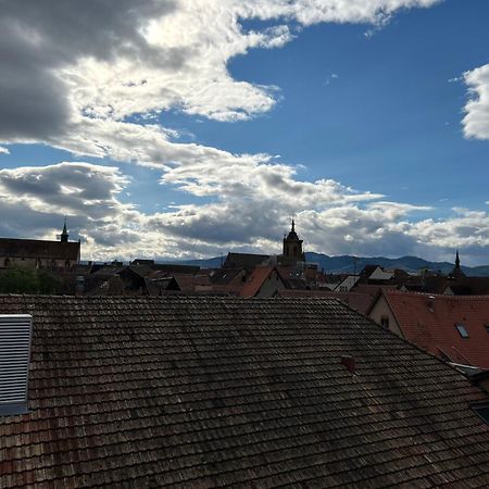 Colmar City Center - Appartement Belle-Vue 4 Etoiles Zewnętrze zdjęcie