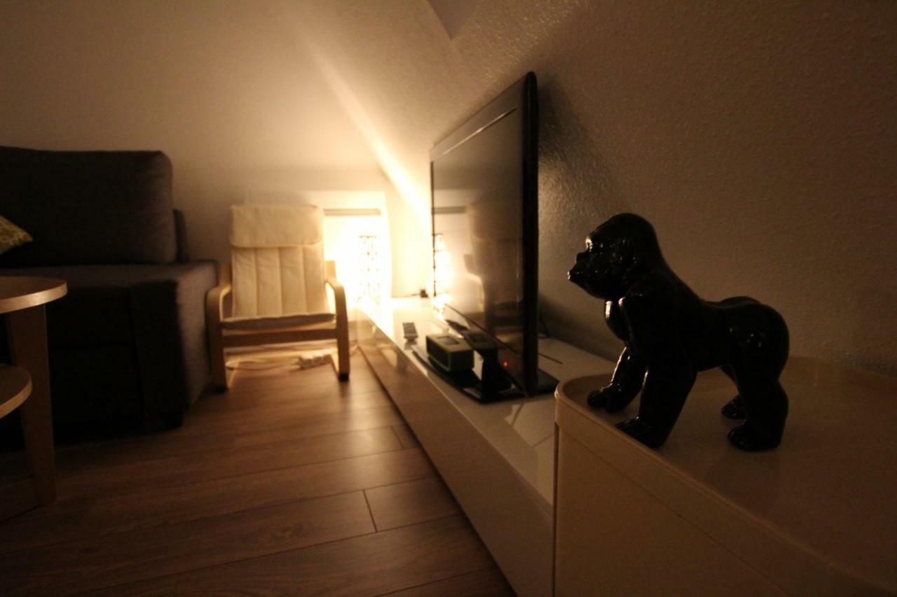 Colmar City Center - Appartement Belle-Vue 4 Etoiles Zewnętrze zdjęcie