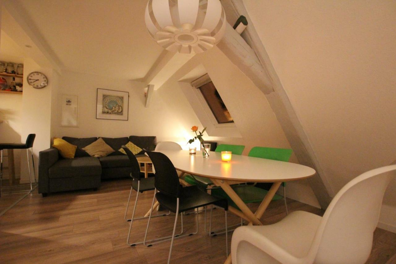 Colmar City Center - Appartement Belle-Vue 4 Etoiles Zewnętrze zdjęcie